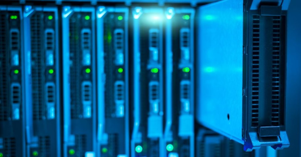 PVP sunucusu seçimi öncesinde website ve kuralları inceleyen oyuncu