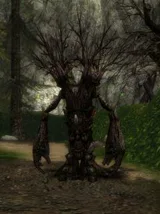 Ancient Treant