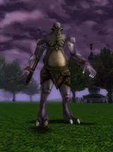 Garukonga