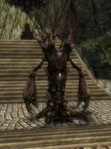 Legendary Old Tree